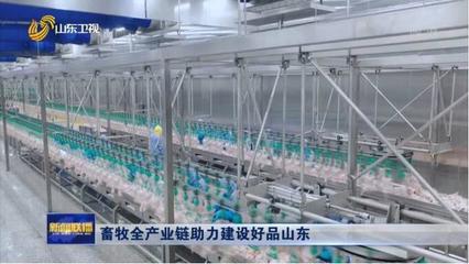 《山东新闻联播》| 凤祥股份全产业链助力建设好品山东，初级农产品提质增效