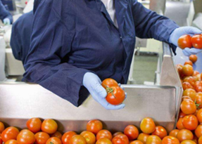 从源头到餐桌 提升家禽家畜农副食品加工业竞争力的策略