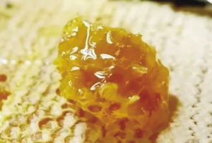 宁陕山珍 县域公共品牌亮相古城西安，引领初级农产品新风尚